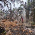 Tetap Siaga di Hari Raya, Tim Fire Brigade Pertamina RU II Dumai Berjibaku Padamkan Karhutla